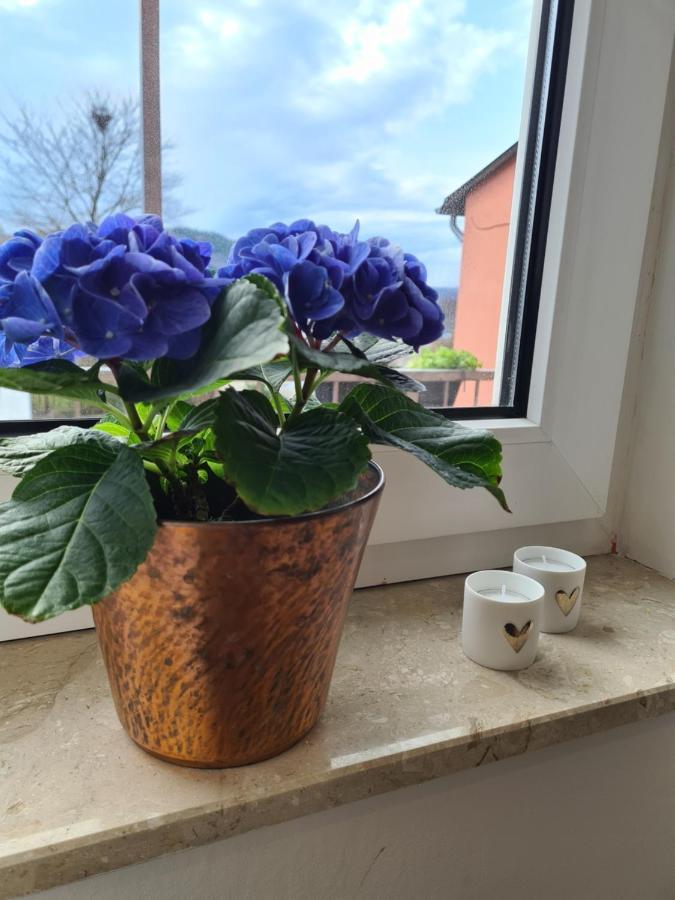 Appartement Rosenberg Oberemmel